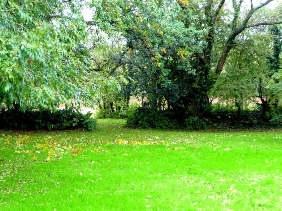 Croft Flat Appartement Kilgetty Buitenkant foto